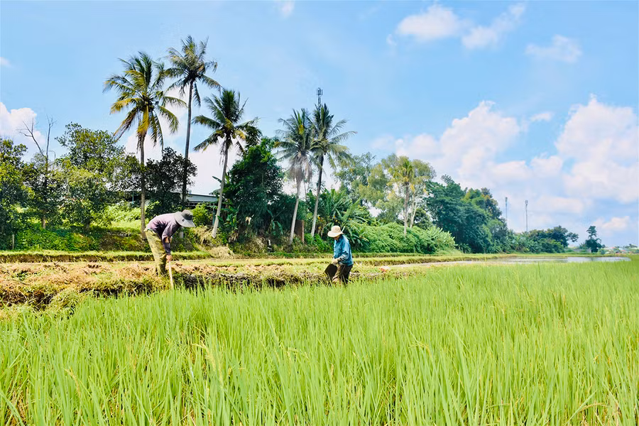 Trong 10 năm qua, các đơn vị kết nghĩa thường xuyên hỗ trợ, giúp đỡ bà con áp dụng khoa học kỹ thuật vào sản xuất. Ảnh Trần Dung