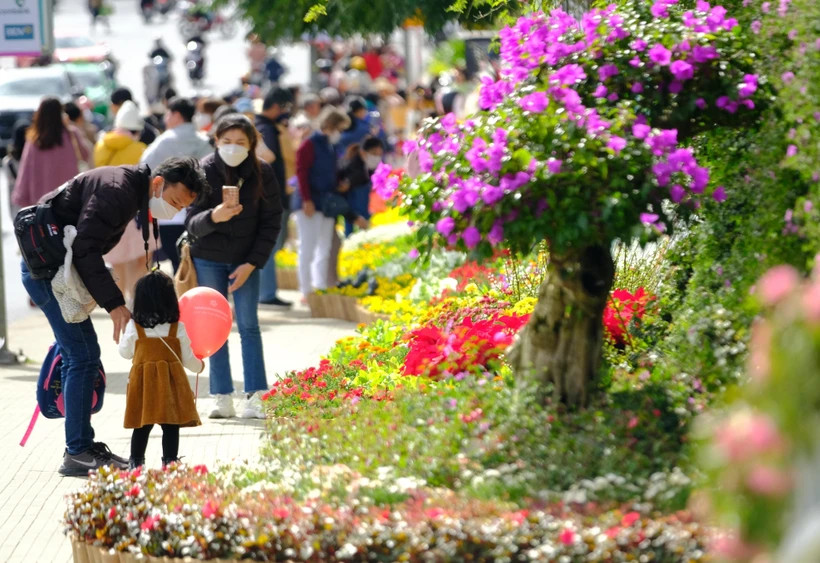 Ảnh minh họa. (Ảnh: Nguyễn Dũng/TTXVN) Ảnh minh họa. (Ảnh: Nguyễn Dũng/TTXVN)