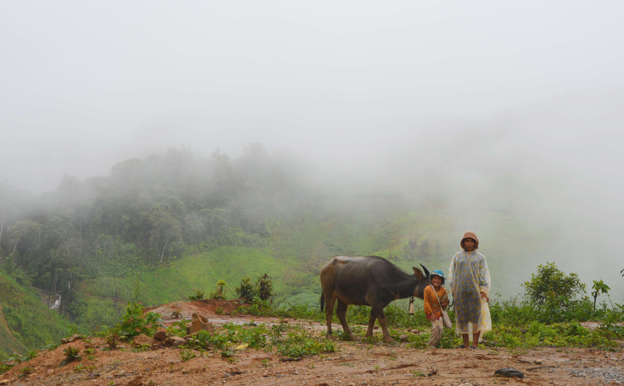 Ngày mưa ở làng. Ảnh S.C
