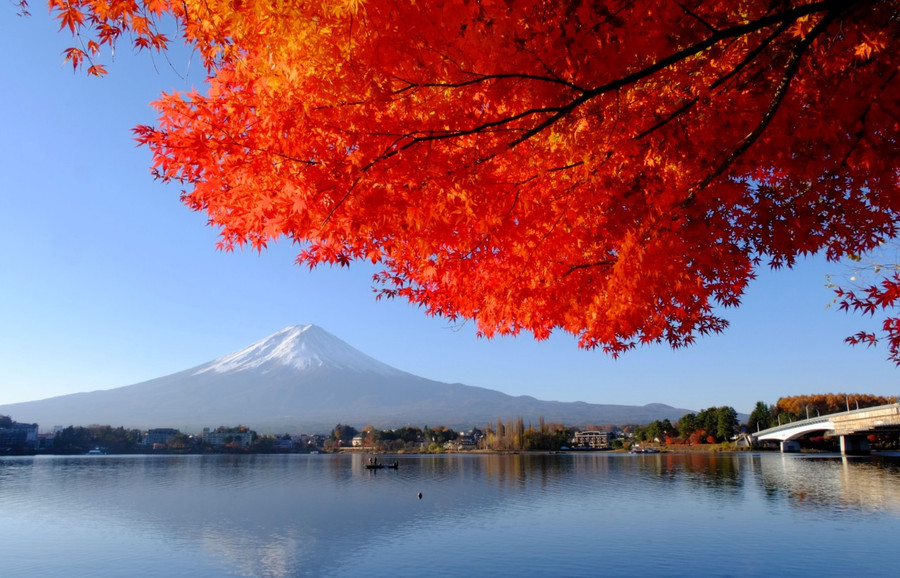 Du khách có thể chiêm ngưỡng khung cảnh đẹp nhất của núi Phú Sĩ dưới những tán lá phong rực đỏ từ bờ phía bắc của hồ. Ảnh: MAI TRANG Du khách có thể chiêm ngưỡng khung cảnh đẹp nhất của núi Phú Sĩ dưới những tán lá phong rực đỏ từ bờ phía bắc của hồ. Ảnh: MAI TRANG