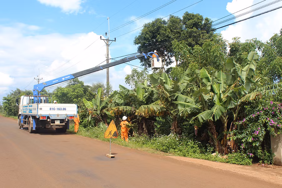 Công nhân Công ty Điện lực Gia Lai phát quang hành lang tuyến để đảm bảo an toàn cho lưới điện. Ảnh: Hà Duy
