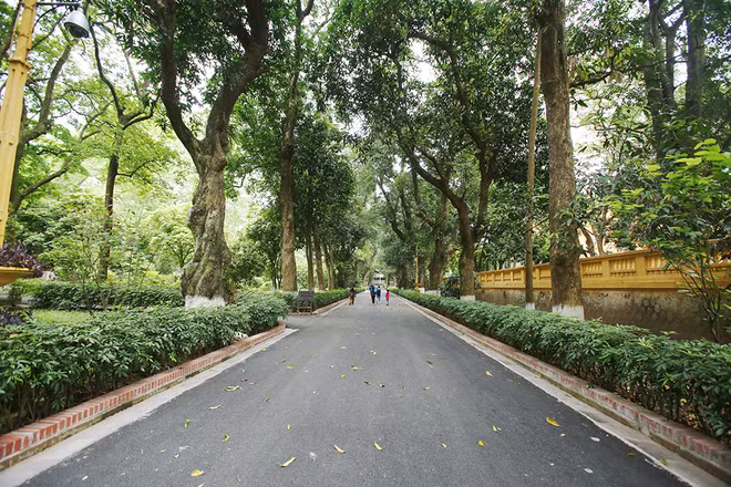 Đường Xoài, con đường rộng 5 mét, dài hơn 200 mét có hai hàng cây xoài cổ thụ. Con đường được nhiều người biết tới qua bài thơ “Theo chân Bác” của nhà thơ Tố Hữu: “Anh dắt em vào cõi Bác xưa/ Đường Xoài, hoa trắng nắng đu đưa”... (ảnh nguồn bqllang.gov.vn)