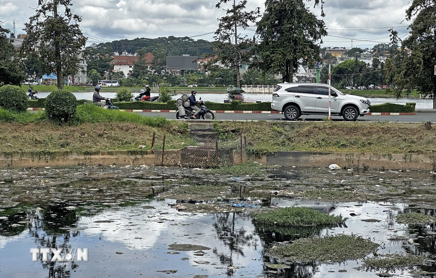Rác thải tràn ngập hồ Đội Có - một trong 3 hồ lắng quanh thắng cảnh hồ Xuân Hương (thành phố Đà Lạt). (Ảnh: Nguyễn Dũng/TTXVN) Rác thải tràn ngập hồ Đội Có - một trong 3 hồ lắng quanh thắng cảnh hồ Xuân Hương (thành phố Đà Lạt). (Ảnh: Nguyễn Dũng/TTXVN)