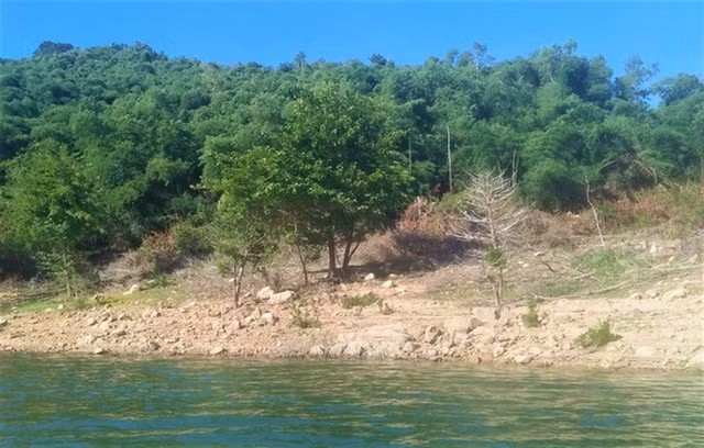 Một phần khu đất rừng nhà nước đã cấp trái quy định cho gia đình ông Nguyễn Đình Kim, cựu Bí thư Huyện ủy Vĩnh Thạnh.