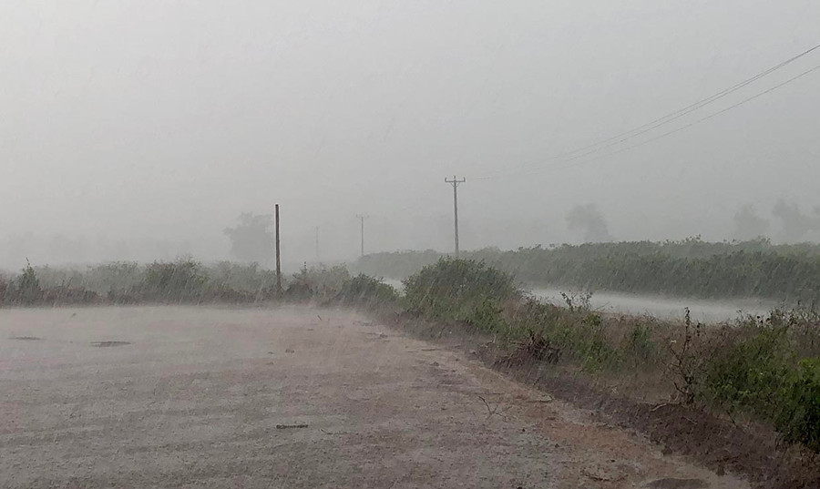 Mưa lớn trên địa bàn xã Ia Sao, huyện Ia Grai giúp cây cà phê được giải hạn. Ảnh: L.N