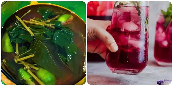 Uống nước lá tía tô có tác dụng gì với sức khoẻ là băn khoăn của nhiều người.