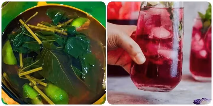 Uống nước lá tía tô có tác dụng gì với sức khoẻ là băn khoăn của nhiều người.