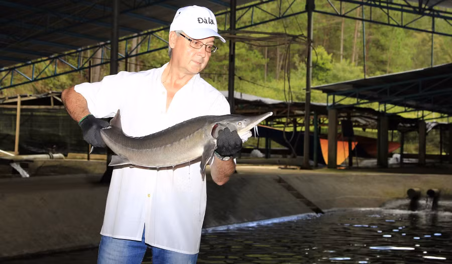 Ông Vadim Kuznetsov