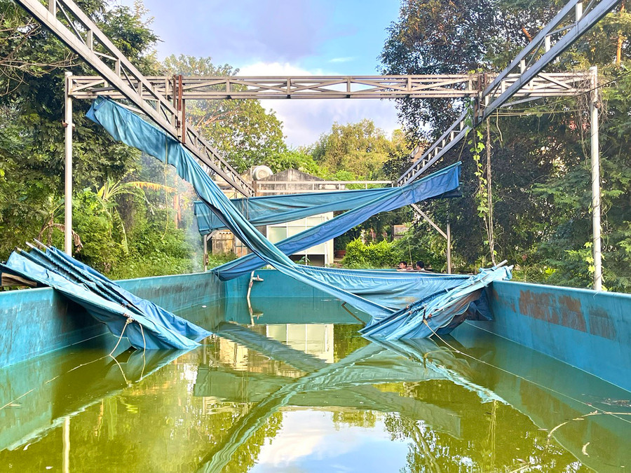 Đầu tư hơn 440 triệu đồng nhưng bể bơi tại Trường Tiểu học Anh Hùng Núp (xã Ia Hrú, huyện Chư Pưh) chưa hoạt động đã bị xuống cấp, bỏ hoang gần 5 năm nay. Ảnh: Minh Nguyễn Đầu tư hơn 440 triệu đồng nhưng bể bơi tại Trường Tiểu học Anh Hùng Núp (xã Ia Hrú, huyện Chư Pưh) chưa hoạt động đã bị xuống cấp, bỏ hoang gần 5 năm nay. Ảnh: Minh Nguyễn
