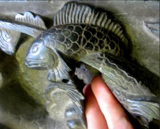 Cá tiến Vua được điêu khắc trên cột đá đền Trần. Ảnh: Đức Hoàng Cá tiến Vua được điêu khắc trên cột đá đền Trần. Ảnh: Đức Hoàng