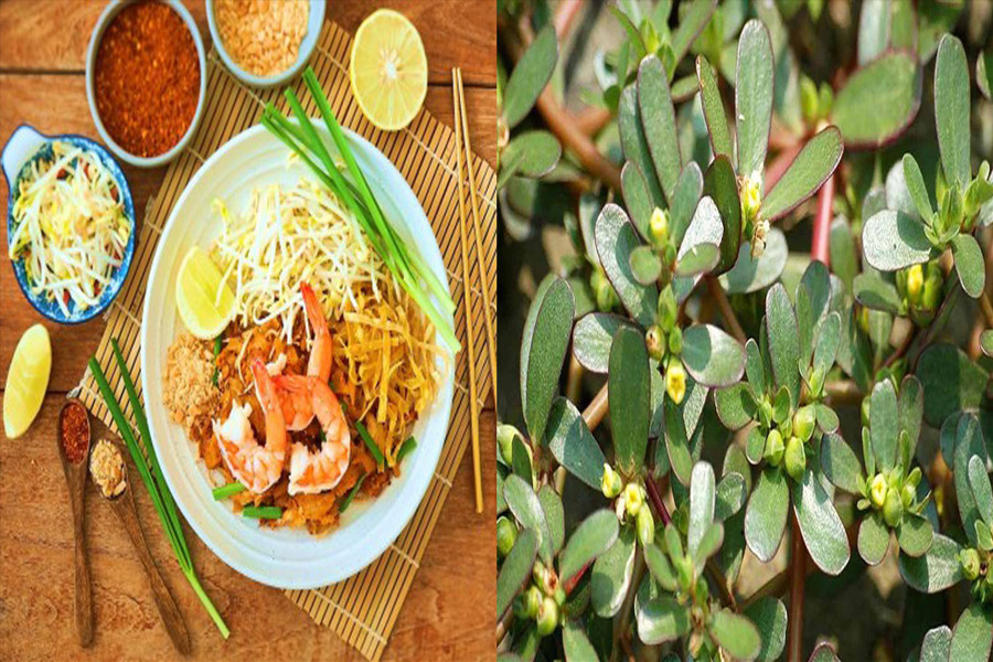 Giá đỗ và rau sam được xem là thực phẩm hàng đầu để kéo dài tuổi thọ. Đồ hoạ: Hạ Mây