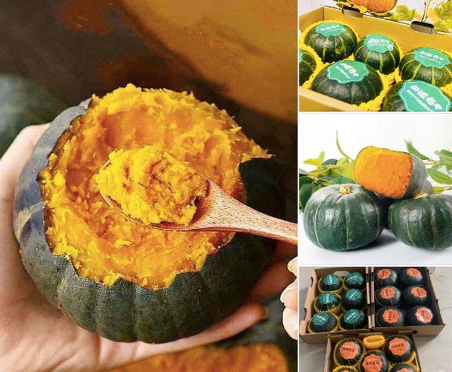 Bí ngô Trung Quốc được rao bán rầm rộ trên các "chợ online". Ảnh: Chụp màn hình Bí ngô Trung Quốc được rao bán rầm rộ trên các "chợ online". Ảnh: Chụp màn hình