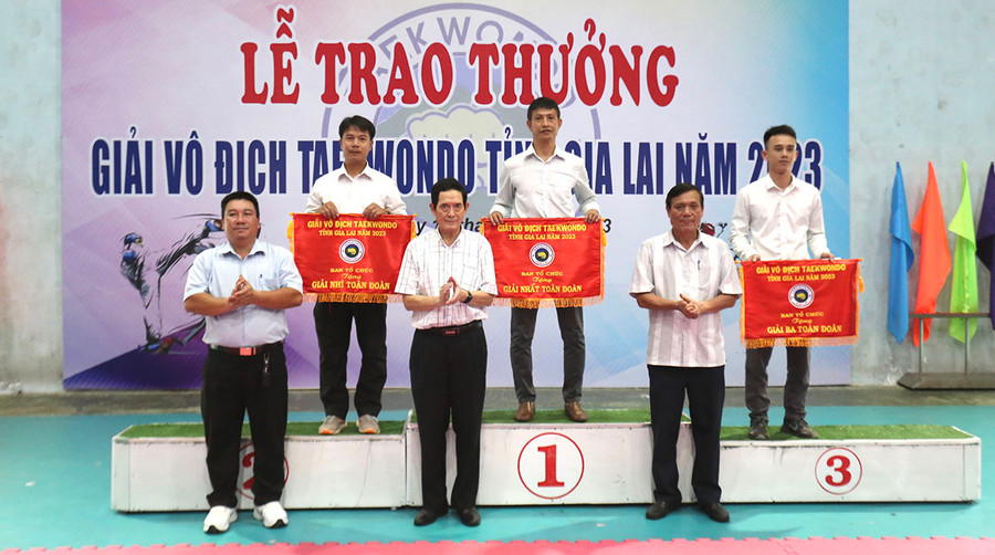 Thành phố Pleiku giành giải nhất toàn đoàn ở Giải Vô địch Taekwondo toàn tỉnh năm 2023. Ảnh: L.V.N