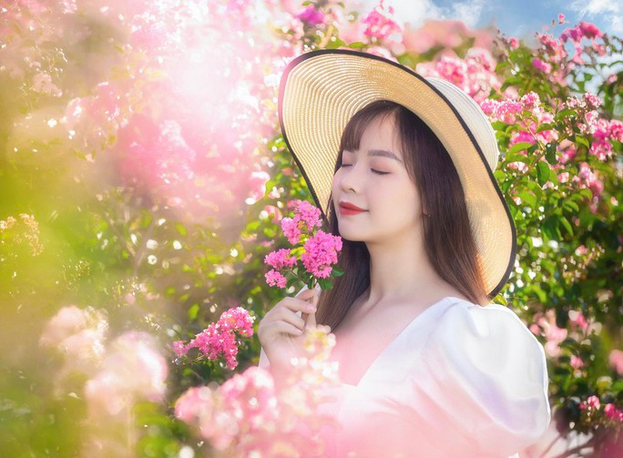 Giới trẻ thích thú khoe sắc bên hoa tường vi nở rộ - Ảnh 13. Giới trẻ thích thú khoe sắc bên hoa tường vi nở rộ ảnh 13