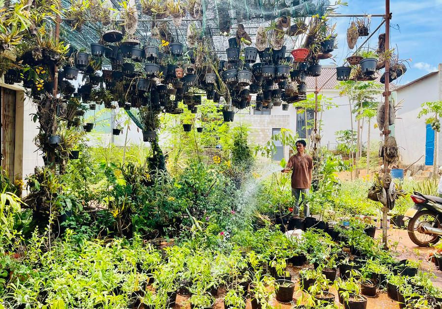 Anh Trường chăm sóc vườn cây cảnh của mình. Ảnh: Nhật Hào