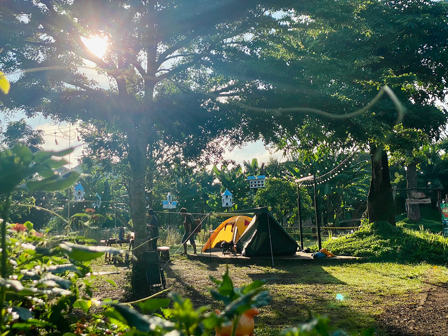 Không gian vườn rừng lý tưởng của Paksong Farmstay. Ảnh: Phan Duy