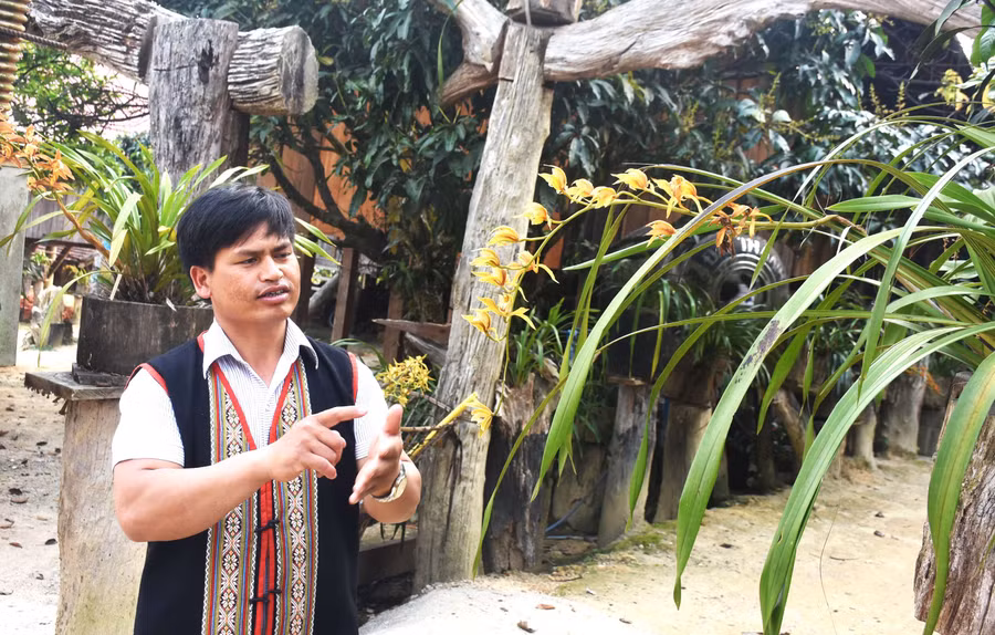 A Hiền - người tiên phong đưa lan về trồng ở Vi Rơ Ngheo. Ảnh: P.N