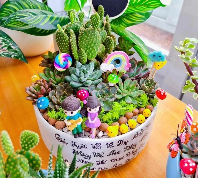 Một &quot;khu vườn&quot; thu nhỏ với nguyên liệu là sen đá và xương rồng. Ảnh: THANH TÚ