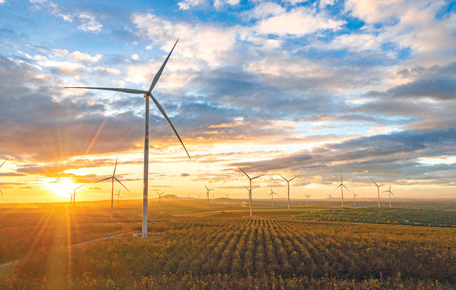 Cánh đồng điện gió xã Ia Pết, huyện Đak Đoa. Ảnh: Huyền Tỷ