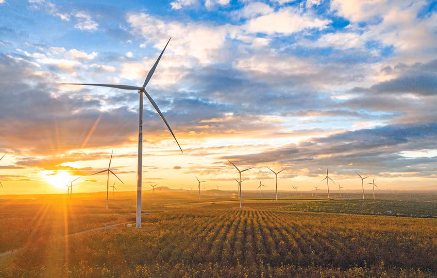 Cánh đồng điện gió xã Ia Pết, huyện Đak Đoa. Ảnh: Huyền Tỷ