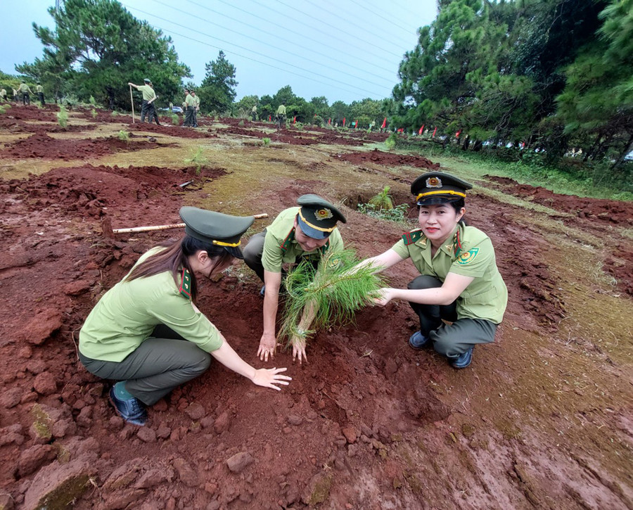 Lực lượng Kiểm lâm tỉnh hưởng ứng chương trình trồng 1 tỷ cây xanh tại xã Ia Kênh. Ảnh: N.D Lực lượng Kiểm lâm tỉnh hưởng ứng chương trình trồng 1 tỷ cây xanh tại xã Ia Kênh. Ảnh: N.D