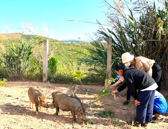Giáo viên và học sinh Trường Tiểu học xã Đắk Hà cho heo ăn. Heo này sẽ được bán để nấu ăn miễn phí cho học sinh Xơ Đăng. Giáo viên và học sinh Trường Tiểu học xã Đắk Hà cho heo ăn. Heo này sẽ được bán để nấu ăn miễn phí cho học sinh Xơ Đăng.
