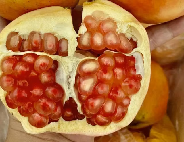 Màng hạt lựu rất giàu chất xơ, rất cần thiết cho sức khỏe. Ảnh: LÊ CẦM