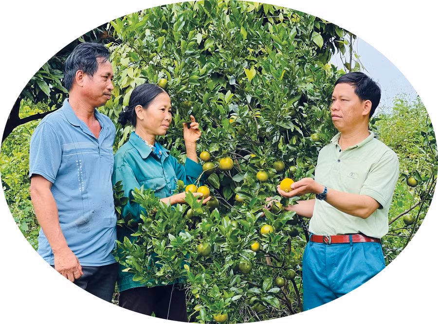 Anh Kpă Meo (bìa phải, làng Tung, xã Ia O, huyện Chư Prông) chia sẻ kinh nghiệm trồng cây ăn quả cho người dân. Ảnh: Phan Lài