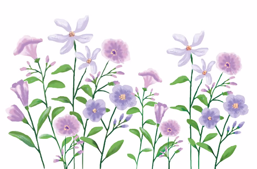 Minh họa: THỦY NGỌC