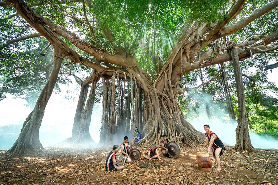 Cây đa làng Ghè (xã Ia Dơk, huyện Đức Cơ) là điểm tham quan thú vị của nhiều người dân và du khách. Ảnh: Nguyễn Linh Vinh Quốc Cây đa làng Ghè (xã Ia Dơk, huyện Đức Cơ) là điểm tham quan thú vị của nhiều người dân và du khách. Ảnh: Nguyễn Linh Vinh Quốc