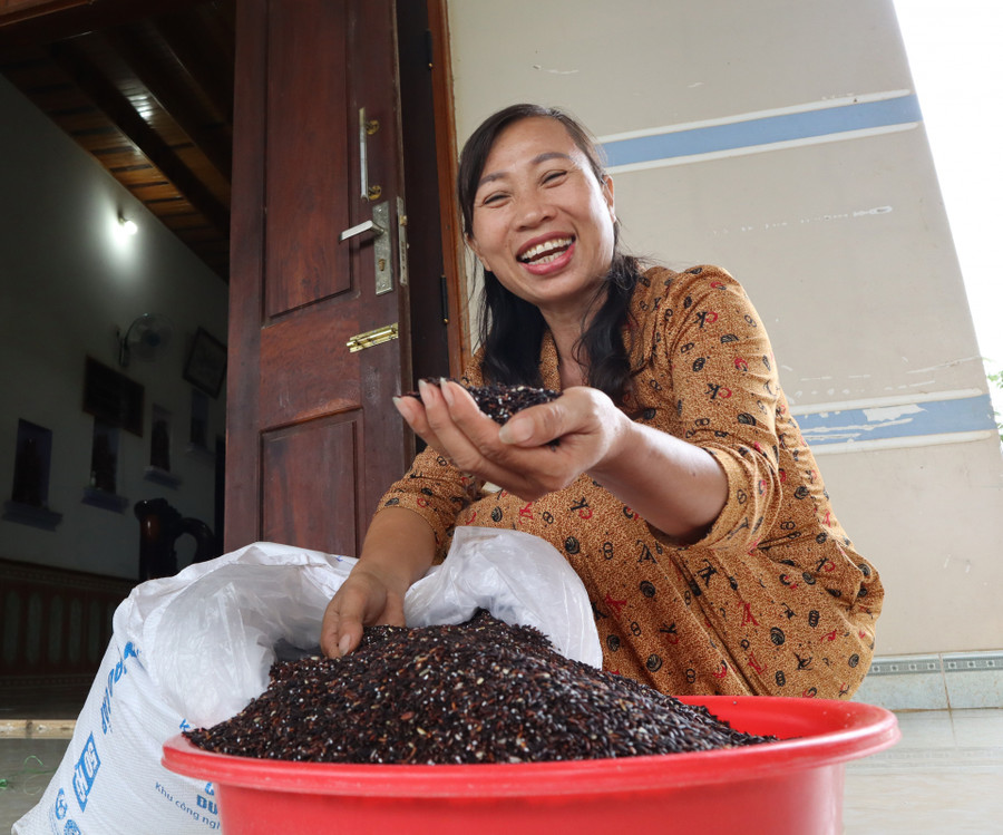 Sản phẩm gạo đen của nông dân xã Ea Bung, huyện Ea Súp.