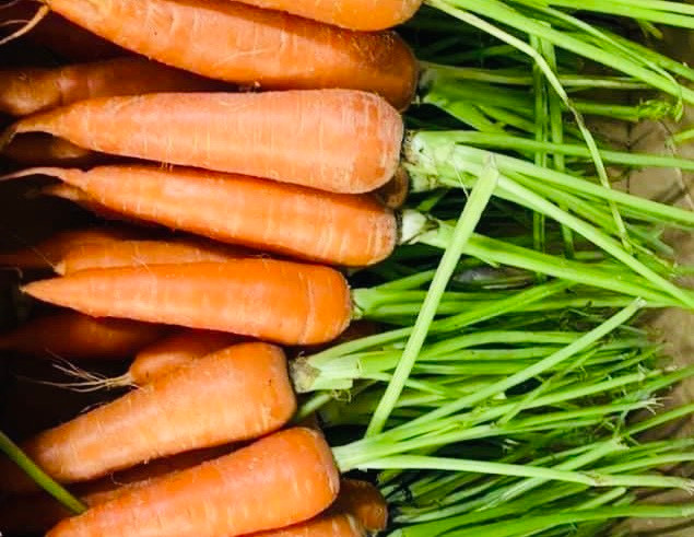 Khi ăn quá nhiều cà rốt, lượng carotene tăng khoảng 3-4 lần bình thường sẽ gây ra chứng vàng da. Ảnh: LÊ CẦM