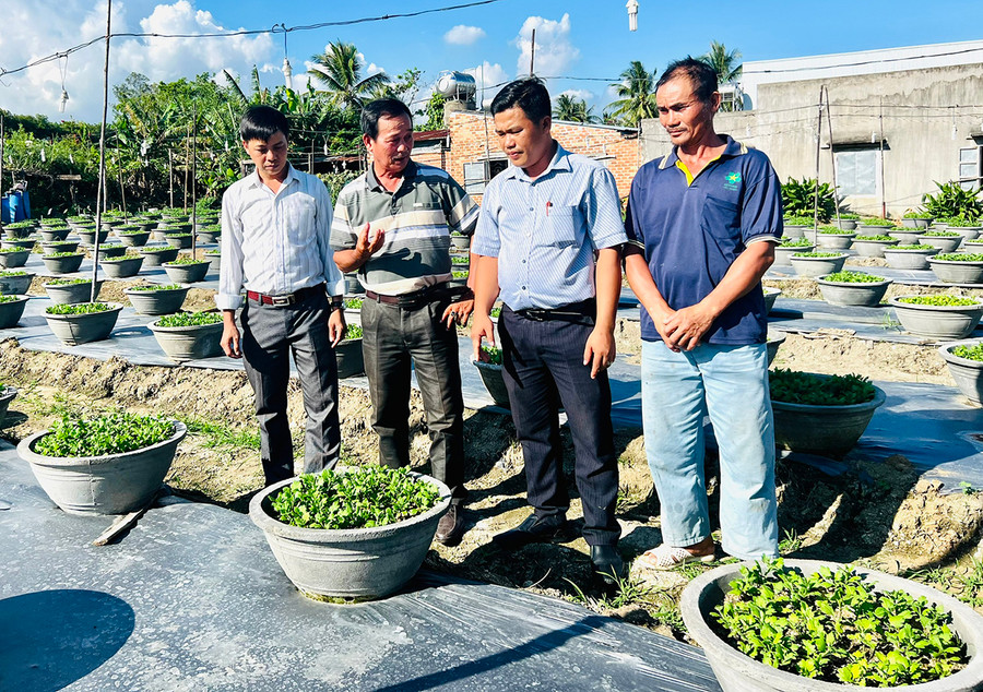 Chủ tịch UBND phường An Tân Trần Xuân Kiếm (thứ 2 từ phải sang) thăm tổ hội trồng và chăm sóc hoa thương phẩm phường An Tân. Ảnh: Huy Phan Chủ tịch UBND phường An Tân Trần Xuân Kiếm (thứ 2 từ phải sang) thăm tổ hội trồng và chăm sóc hoa thương phẩm phường An Tân. Ảnh: Huy Phan