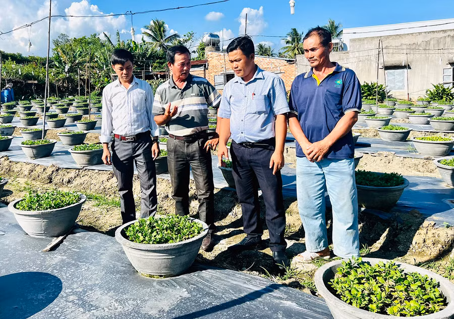 Chủ tịch UBND phường An Tân Trần Xuân Kiếm (thứ 2 từ phải sang) thăm tổ hội trồng và chăm sóc hoa thương phẩm phường An Tân. Ảnh: Huy Phan