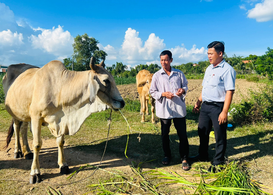 Ông Trần Xuân Kiếm (bìa phải)-Chủ tịch UBND phường An Tân thăm hỏi, động viên gia đình ông Phạm Văn Ngọ (tổ 2) phát triển kinh tế. Ảnh: H.P Ông Trần Xuân Kiếm (bìa phải)-Chủ tịch UBND phường An Tân thăm hỏi, động viên gia đình ông Phạm Văn Ngọ (tổ 2) phát triển kinh tế. Ảnh: H.P