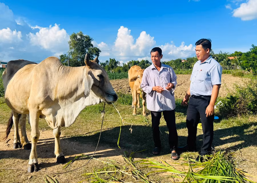 Ông Trần Xuân Kiếm (bìa phải)-Chủ tịch UBND phường An Tân thăm hỏi, động viên gia đình ông Phạm Văn Ngọ (tổ 2) phát triển kinh tế. Ảnh: H.P