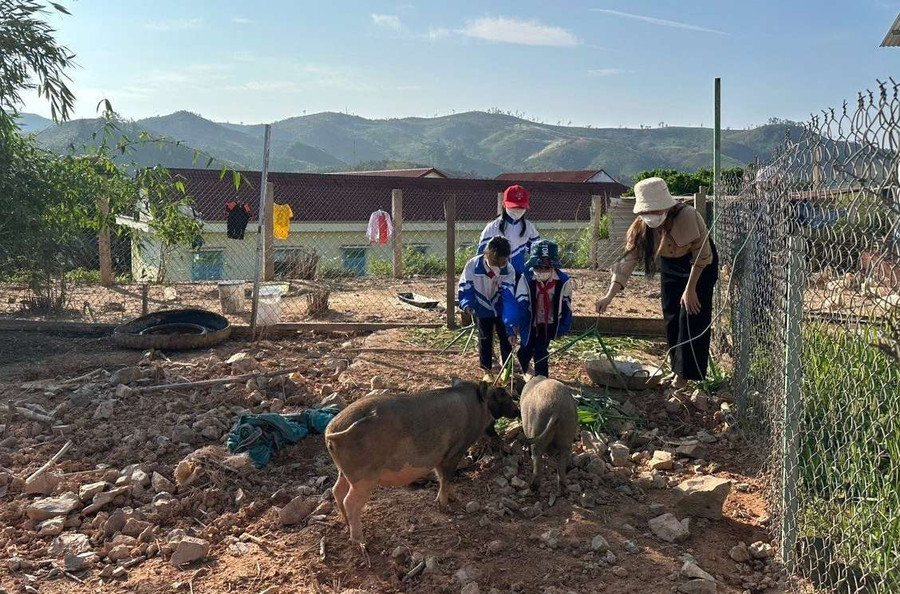 Thầy cô Trường Tiểu học Đăk Hà rao bán hai con heo để lấy tiền duy trì bữa cơm cho học sinh. Ảnh: N.P Thầy cô Trường Tiểu học Đăk Hà rao bán hai con heo để lấy tiền duy trì bữa cơm cho học sinh. Ảnh: N.P