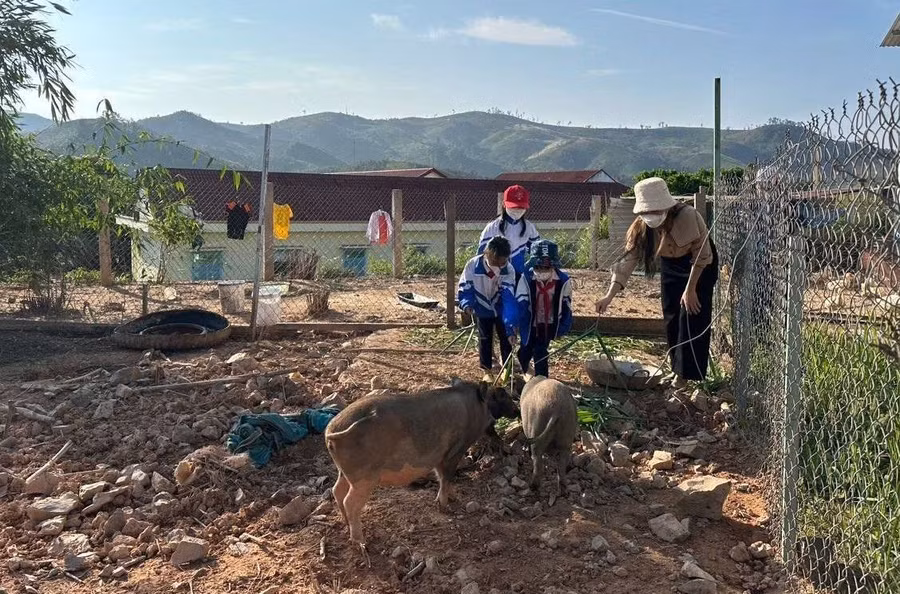 Thầy cô Trường Tiểu học Đăk Hà rao bán hai con heo để lấy tiền duy trì bữa cơm cho học sinh. Ảnh: N.P