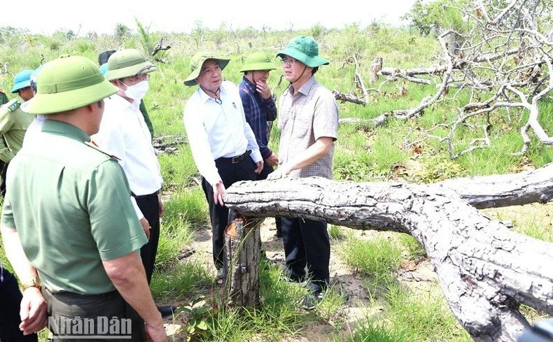 Ngay sau khi Nhân Dân Điện tử phản ảnh, Bí thư Tỉnh ủy Đắk Lắk Nguyễn Đình Trung và Chủ tịch Ủy ban nhân dân tỉnh Đắk Lắk Phạm Ngọc Nghị cùng lãnh đạo các sở, ban, ngành liên quan của tỉnh đã vào kiểm tra hiện trường chỉ đạo các ngành chức năng vào cuộc điều tra, xử lý vụ việc.