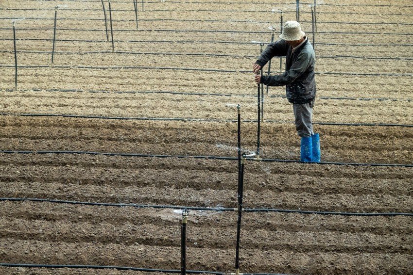 Hệ thống tưới tự động