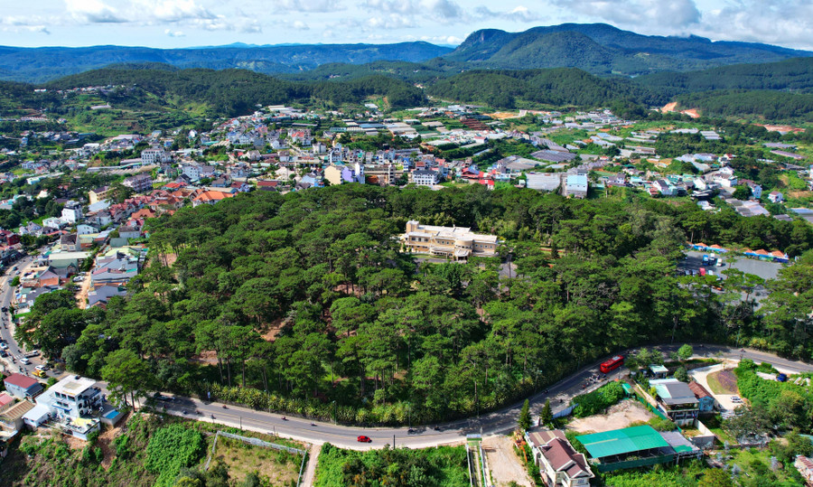 Dinh III (Phường 4, TP Đà Lạt) là một trong 3 biệt thự thuộc nhóm một (cùng với Dinh I và Dinh II). Dinh III (Phường 4, TP Đà Lạt) là một trong 3 biệt thự thuộc nhóm một (cùng với Dinh I và Dinh II).