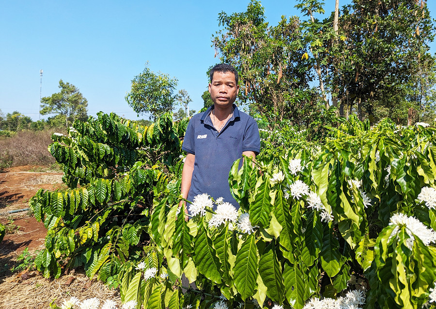 Anh Rơ Châm Hvuông-con trai đầu của ông Puih Glớ. Ảnh: N.Q.T Anh Rơ Châm Hvuông-con trai đầu của ông Puih Glớ. Ảnh: N.Q.T