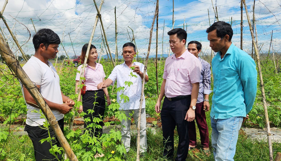 Nhờ nguồn vốn ưu đãi của Ngân hàng Chính sách Xã hội tỉnh, nhiều hộ nghèo, cận nghèo ở làng Wâu (xã Chư Á) đầu tư phát triển kinh tế, vươn lên thoát nghèo. Ảnh: Q.T Nhờ nguồn vốn ưu đãi của Ngân hàng Chính sách Xã hội tỉnh, nhiều hộ nghèo, cận nghèo ở làng Wâu (xã Chư Á) đầu tư phát triển kinh tế, vươn lên thoát nghèo. Ảnh: Q.T