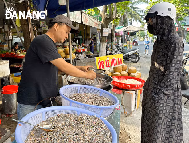Vào mùa, ốc lể được bày bán khắp các tuyến đường, từ ốc Đà Nẵng cho đến ốc Hội An. Ảnh: M.N