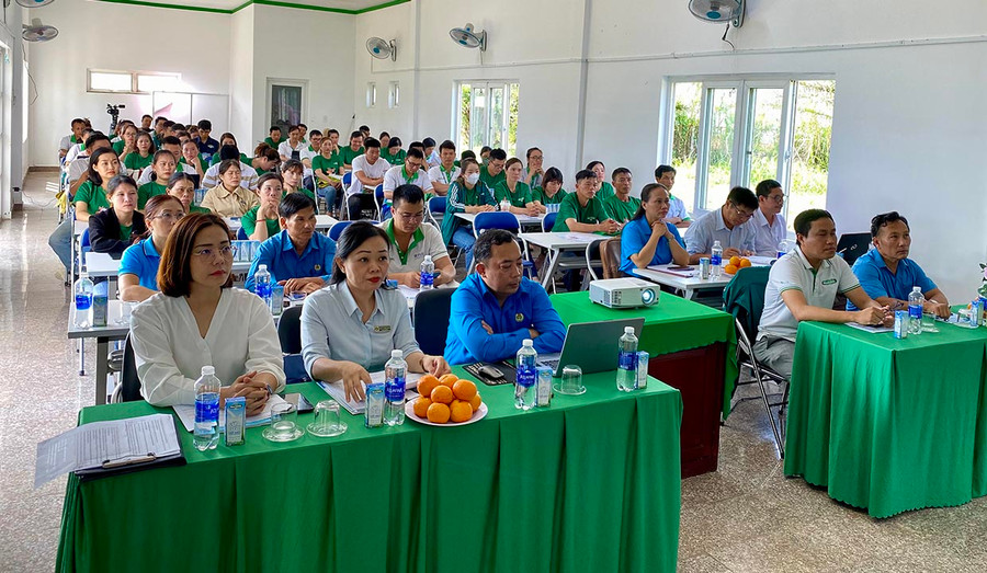 Quang cảnh buổi đối thoại, truyền thông, tư vấn về chính sách BHXH tại Công ty cổ phần Chăn nuôi bò thịt-bò sữa Cao Nguyên. Ảnh: Hà Duy Quang cảnh buổi đối thoại, truyền thông, tư vấn về chính sách BHXH tại Công ty cổ phần Chăn nuôi bò thịt-bò sữa Cao Nguyên. Ảnh: Hà Duy
