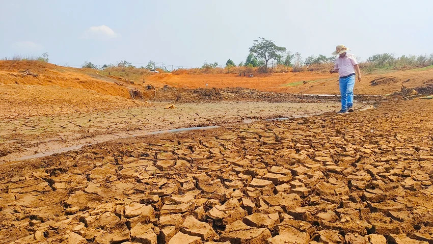 Đến thời điểm này, hạn hán khiến nhiều lòng hồ ở Gia Lai đã cạn trơ đáy. Ảnh: LK.