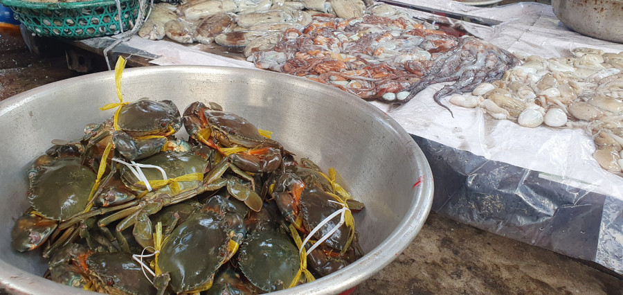 b079e6e264dab684efcb.jpg Đa dạng hải sản. Ảnh: TẤN ĐẠT