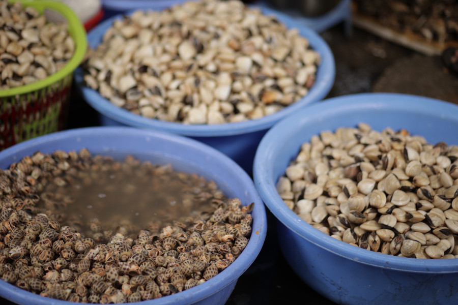 a24533b5e48c36d26f9d.jpg Đa dạng hải sản tươi sống. Ảnh: CHÍ THIỆN