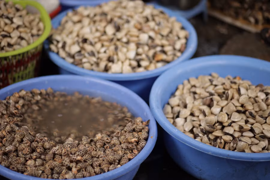 a24533b5e48c36d26f9d.jpg Đa dạng hải sản tươi sống. Ảnh: CHÍ THIỆN