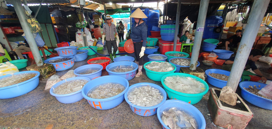 a6b965ff1ec7cc9995d6.jpg Hải sản giá rẻ, phù hợp với túi tiền du khách. Ảnh: TẤN ĐẠT